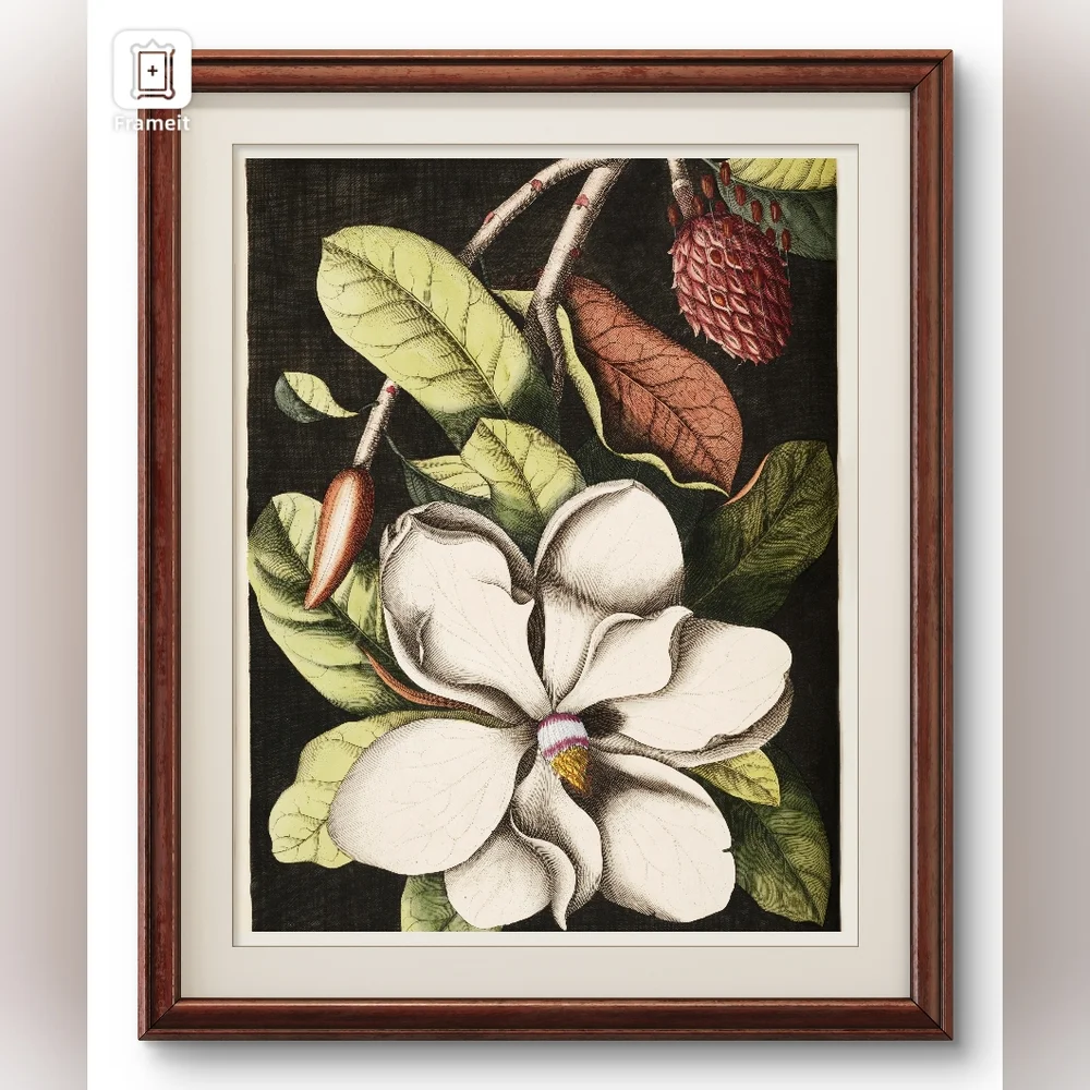 Laurel Tree Magnolia Art Print